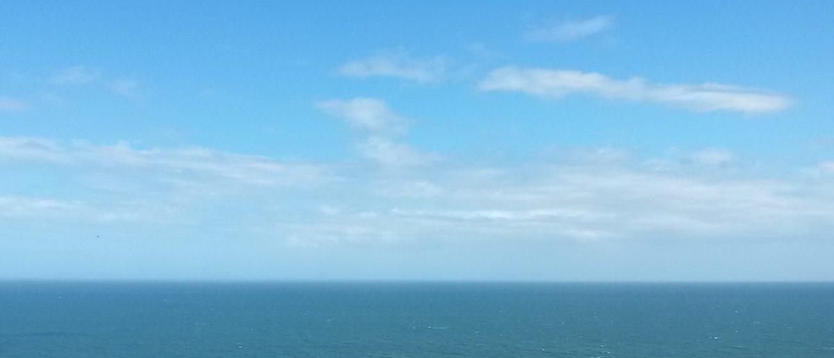 Catharsis presque poetry